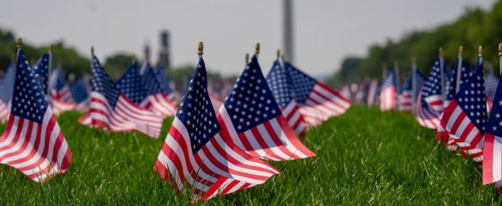 Flags on a lawn in DC near The National Monument